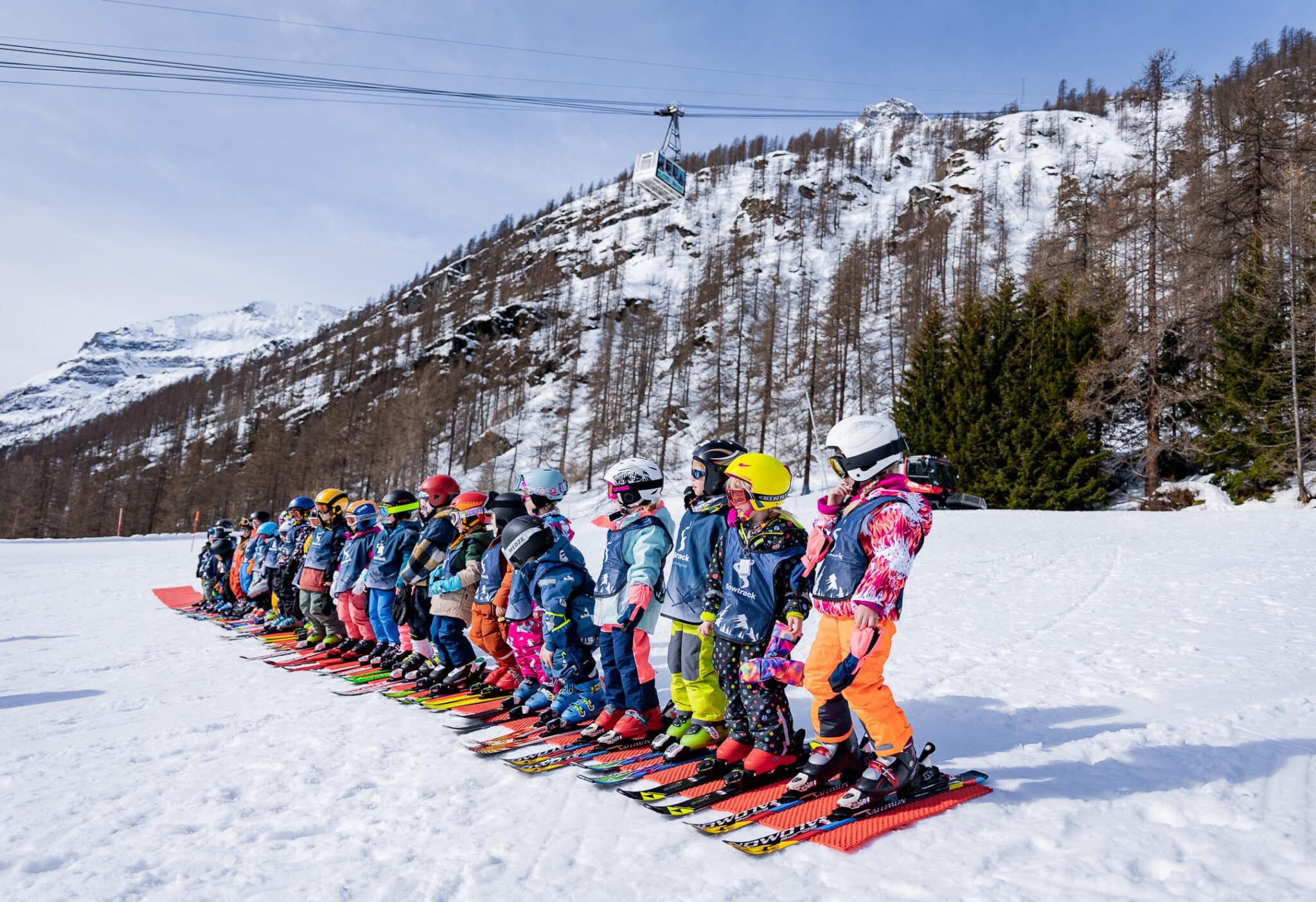 blue bunnies op een rijtje