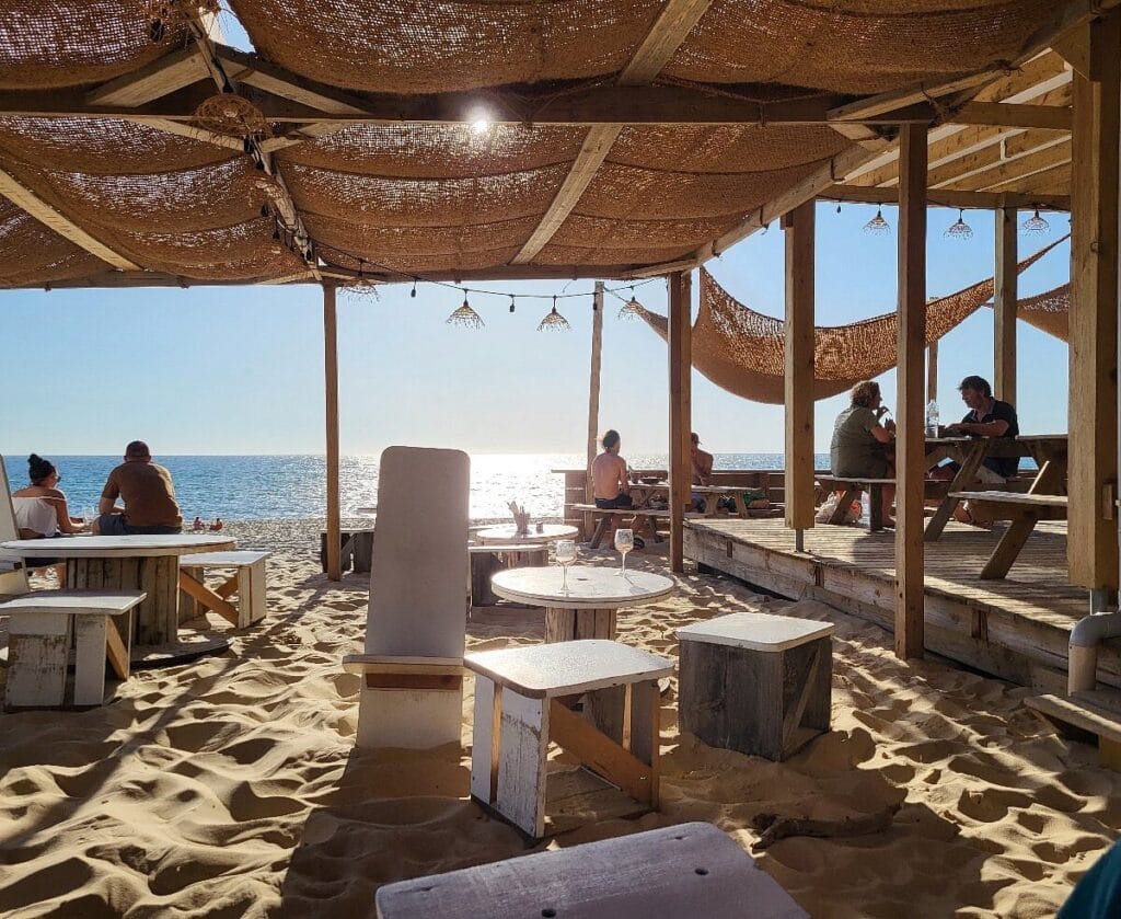 surfbar bias